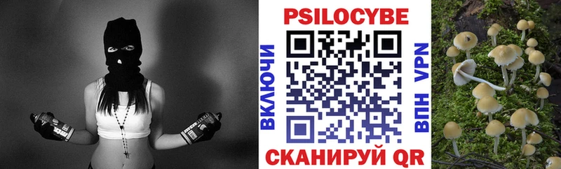 даркнет сайт Азов Галлюциногенные грибы Psilocybine cubensis